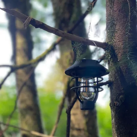 Magical Forest Haven Dome * ベルゲン