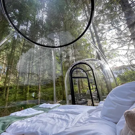 Magical Forest Haven Dome ベルゲン