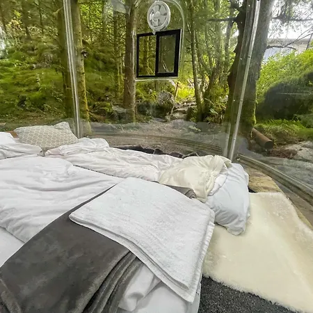 Magical Forest Haven Dome Lejlighed *