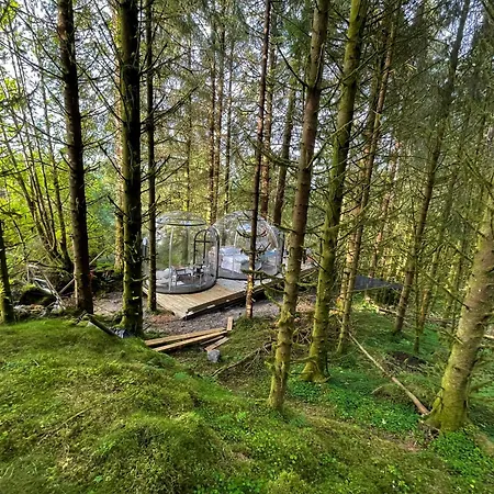 Magical Forest Haven Dome Lejlighed Bergen