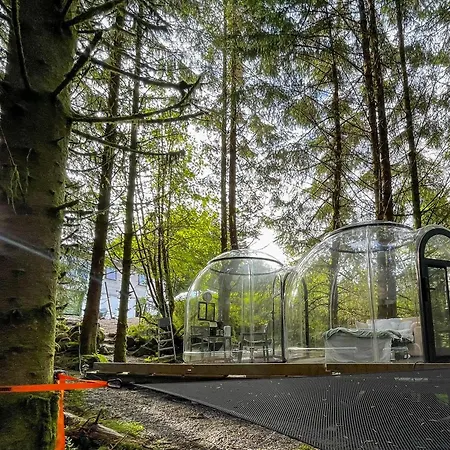 Magical Forest Haven Dome Lejlighed