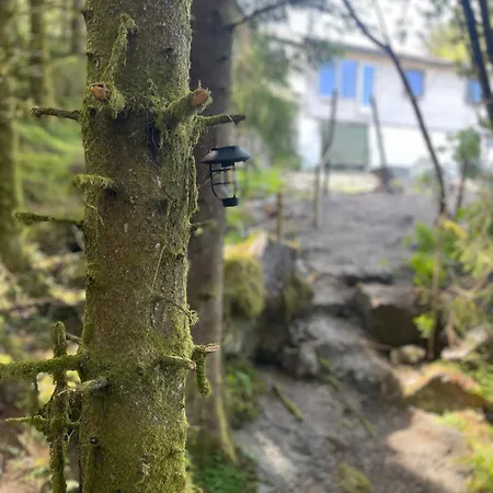 Leilighet Magical Forest Haven Dome Bergen